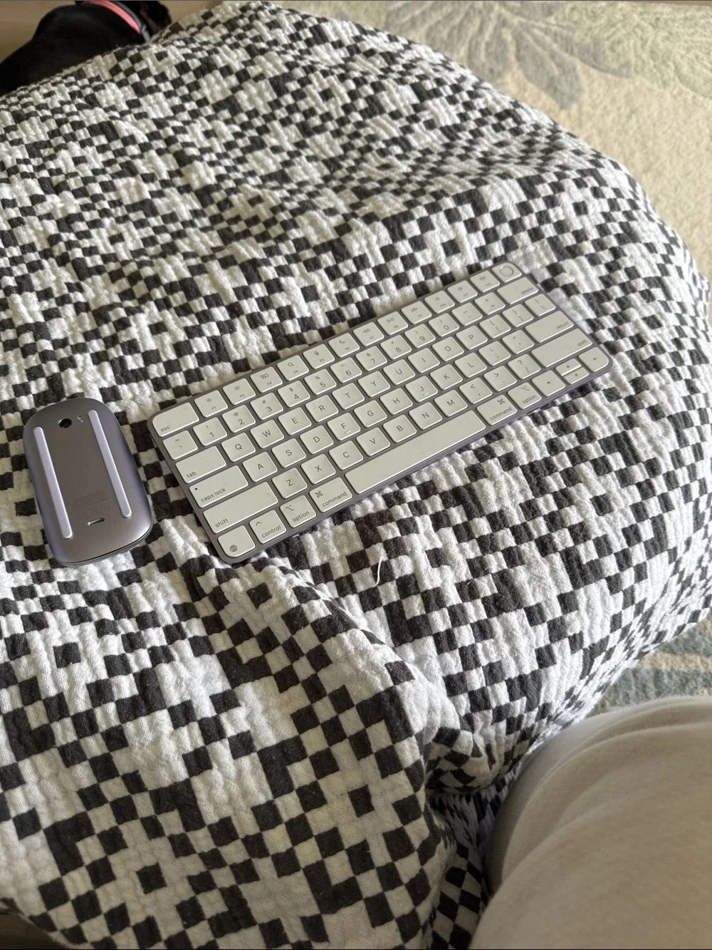 Apple Silver and White Wireless Keyboard with Matching Mouse